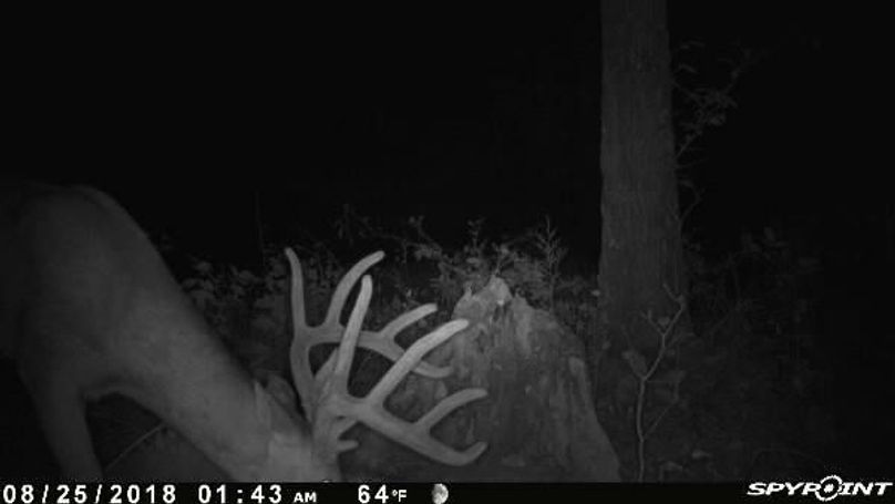 Pict0604 825201824548amy5rab