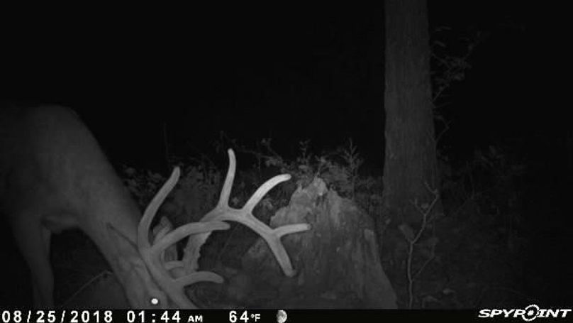 Pict0605 825201824548am968wg