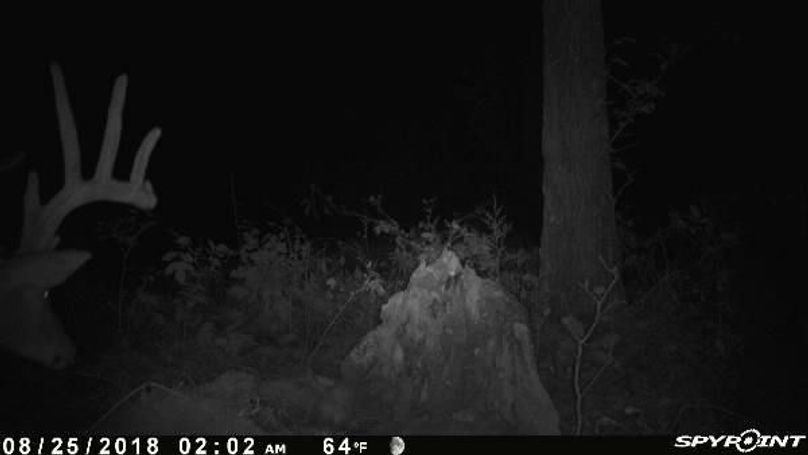 Pict0606 825201844551amrxkp4