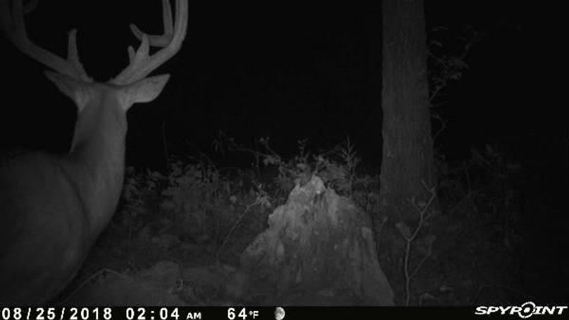 Pict0608 825201844551ambfxil