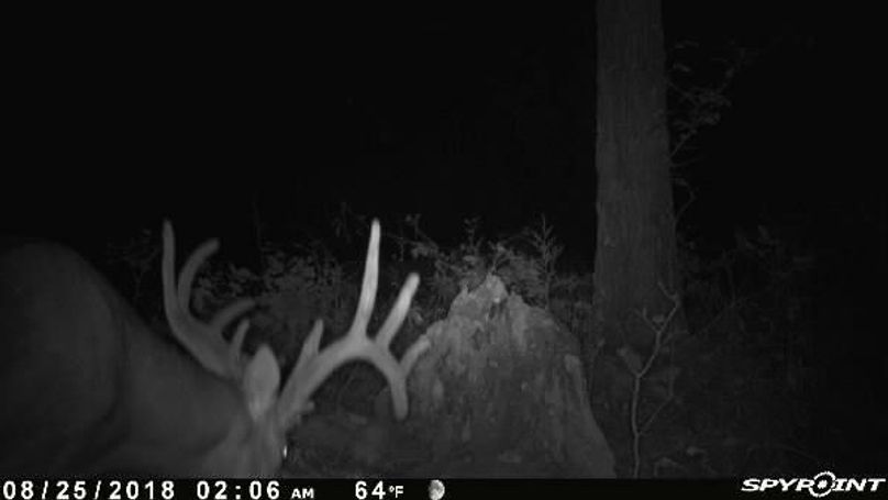 Pict0609 825201844551amt95yd