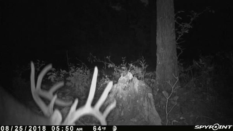 Pict0638 825201884457amskxh4