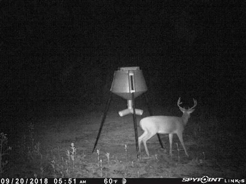 Pict0703 920201880406amd6kwc