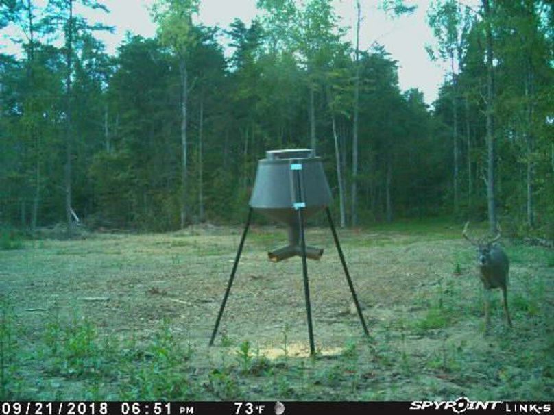 Pict0887 921201880053pmksypo