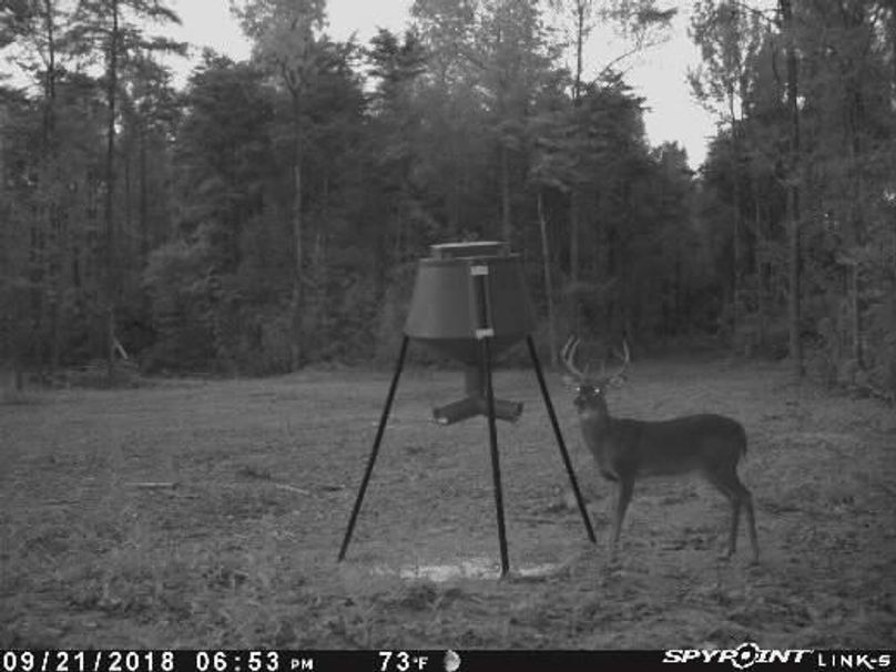 Pict0888 921201880056pmnev5c