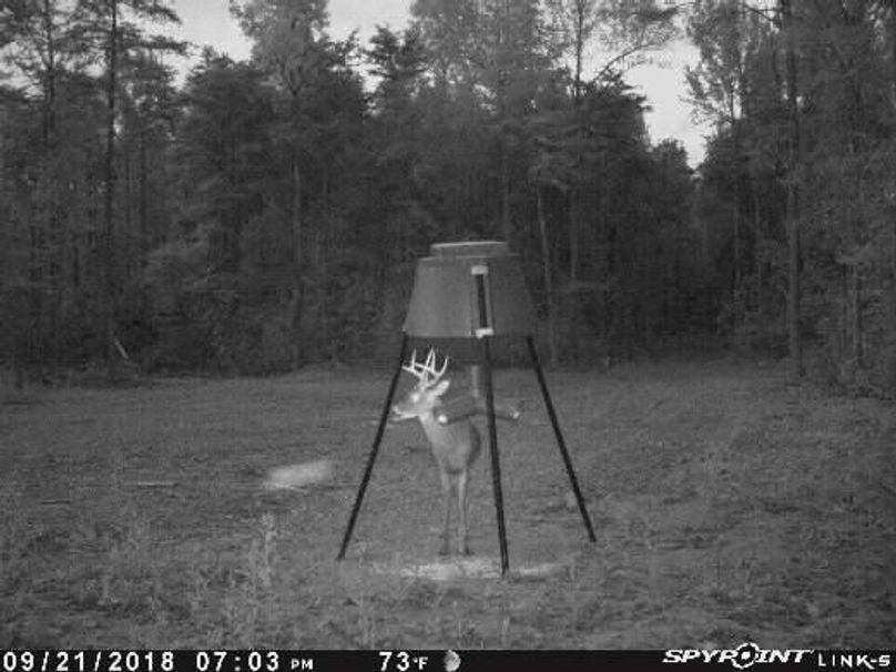 Pict0890 9212018100738pmgre98