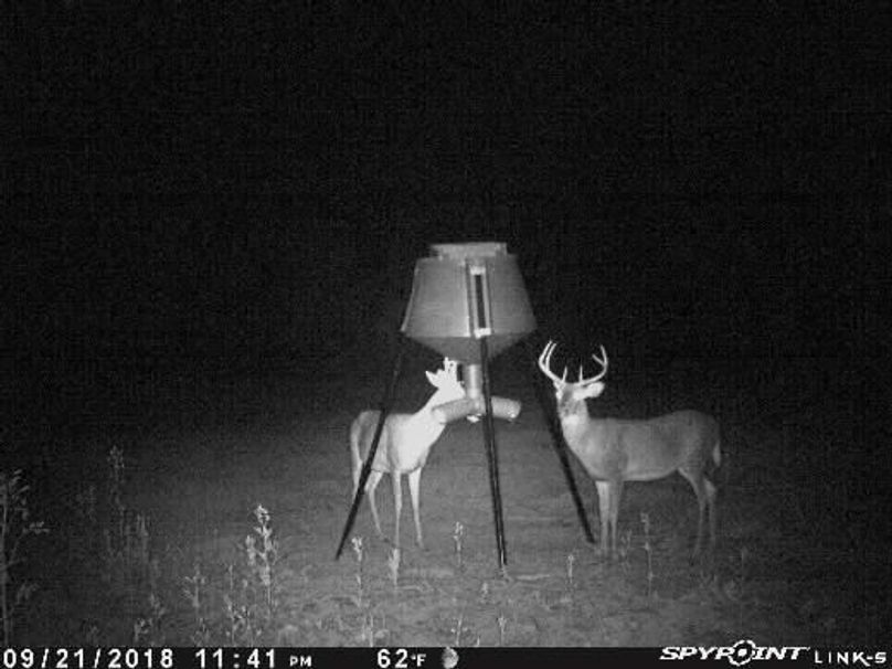 Pict0949 922201860453am5npfw