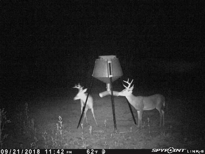 Pict0950 922201860453ambv31x