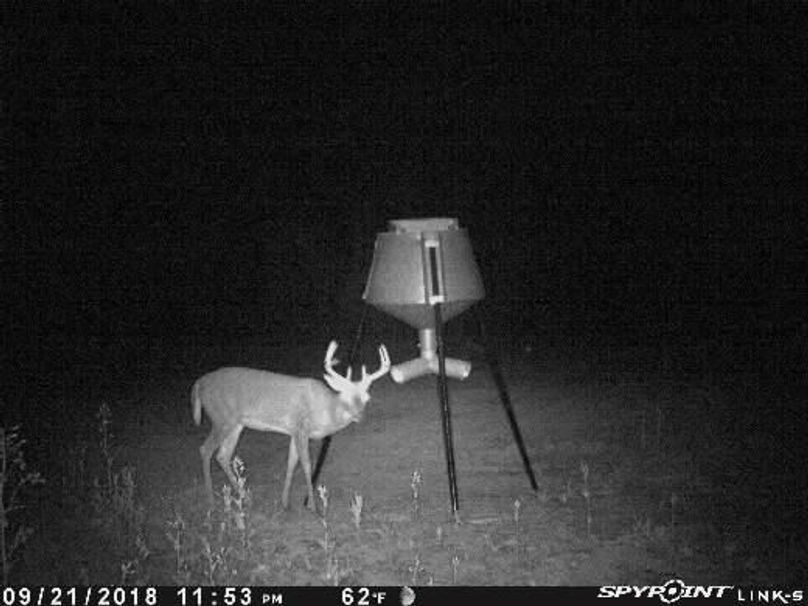 Pict0957 922201841833amgrh2c