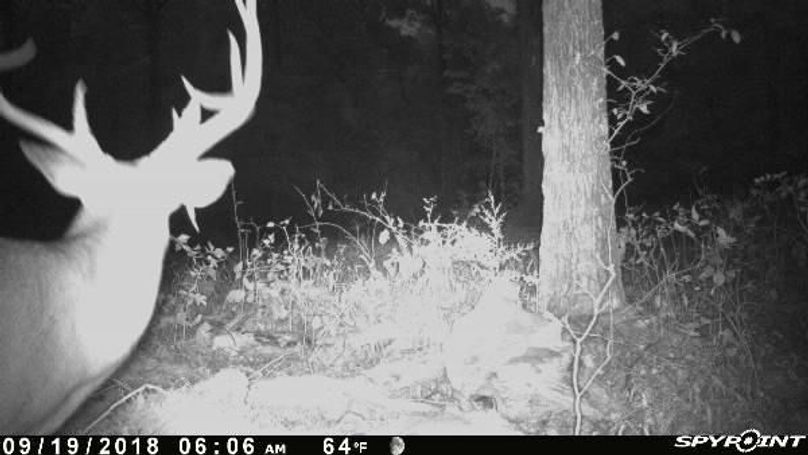 Pict0993 919201884546amf4ejq