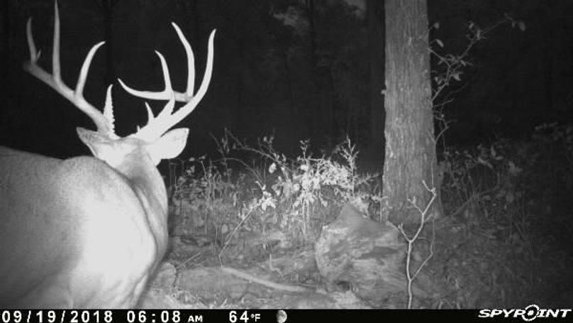 Pict0995 919201884546am23dd1