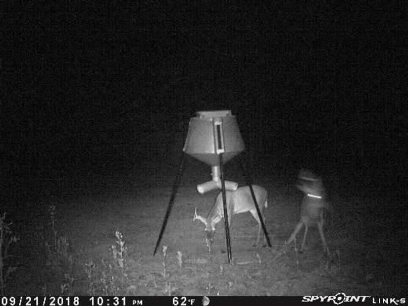 Pict0928 922201860451amuqgc4