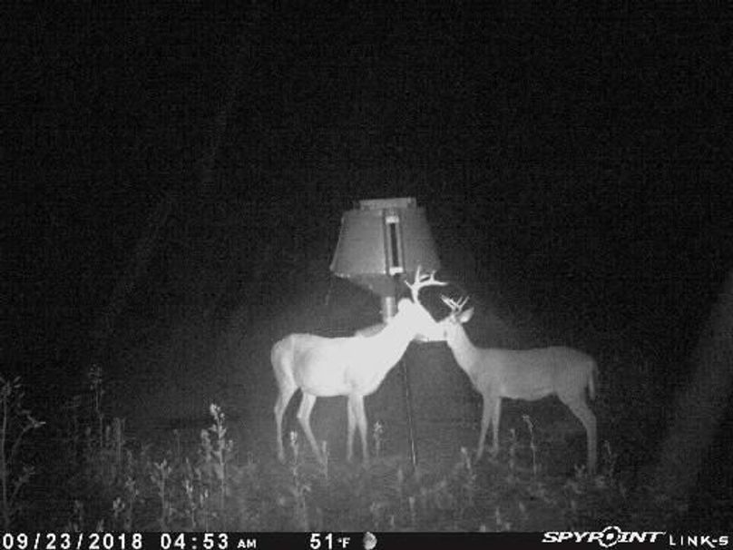 Pict1071 923201860227amrkoru