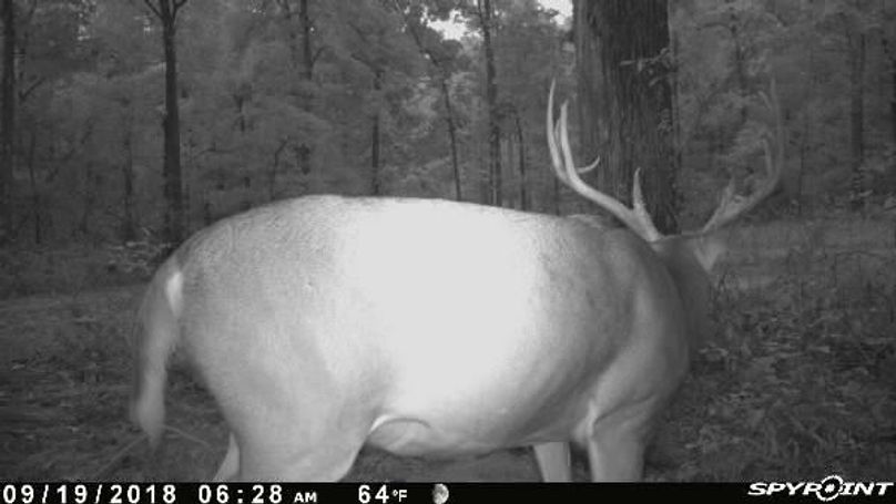 Pict1002 919201884548ambehd4