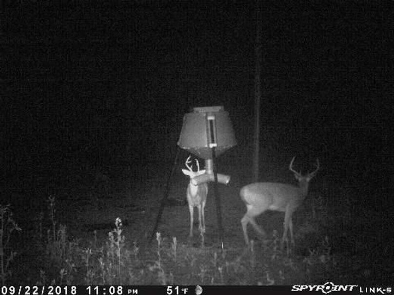 Pict1019 923201820127amio5zk