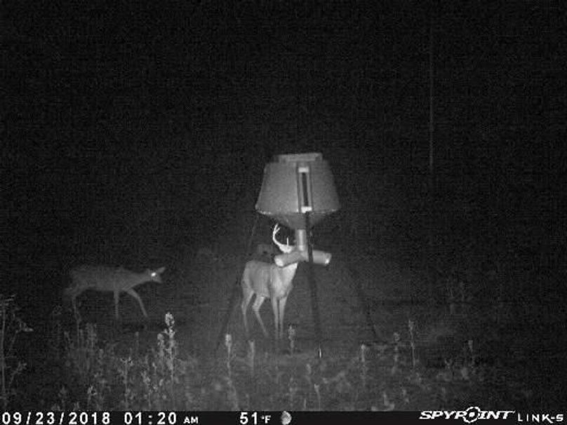 Pict1034 923201840225amx7o4o