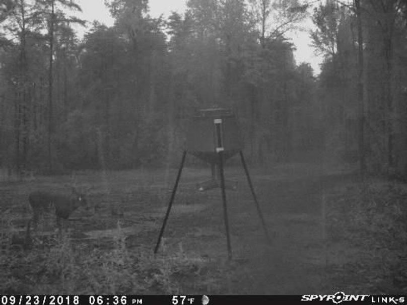 Pict1145 923201880349pmnuq4u