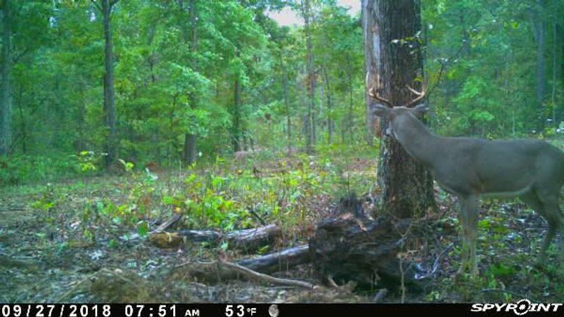 Pict1157 9272018105204amm3ovr