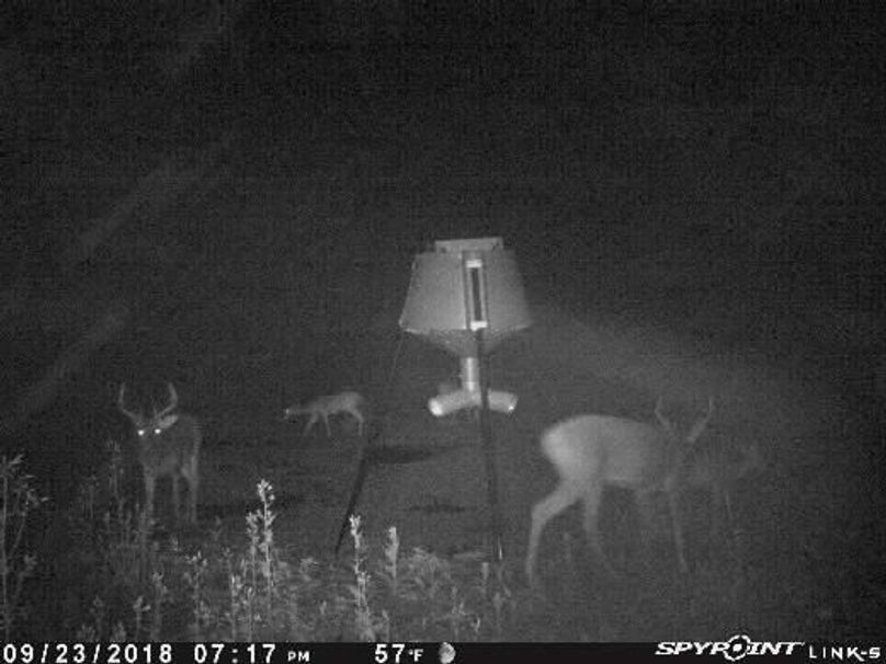 Pict1156 9232018100542pm1vtf8