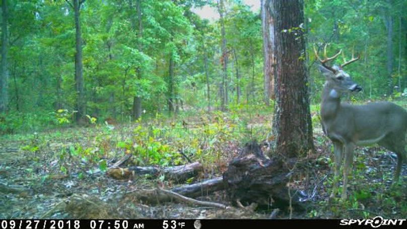 Pict1156 9272018105203amdrgxb