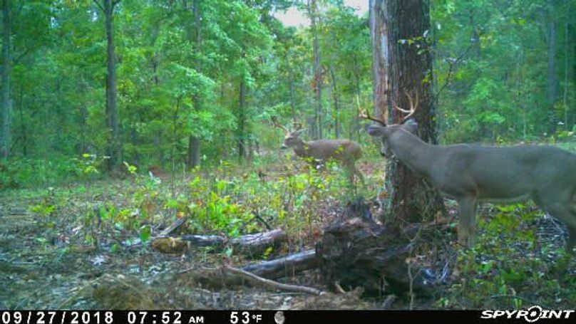 Pict1158 9272018105204amauknn