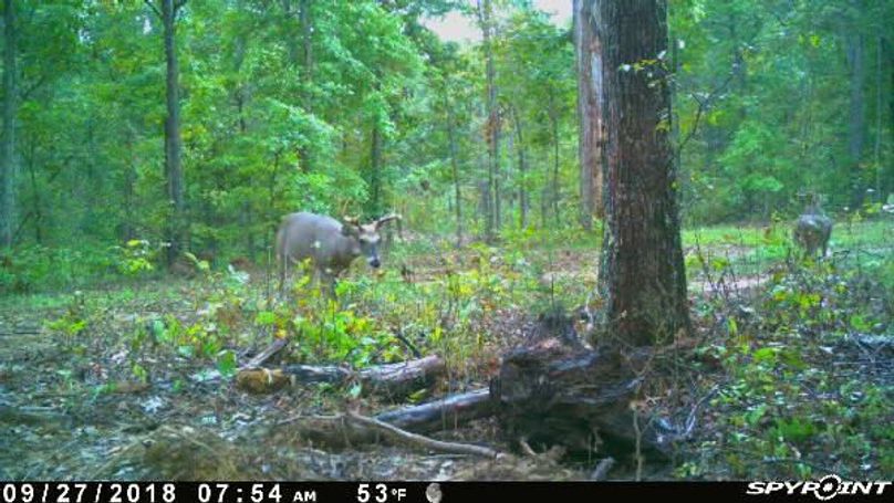 Pict1159 9272018105204amiafx9