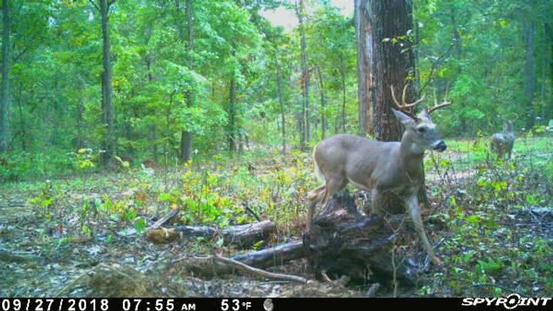 Pict1160 9272018105204ammqkr7