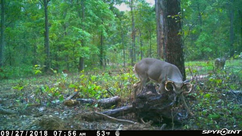 Pict1161 9272018105204amdxepm