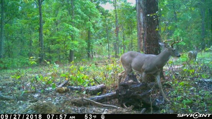 Pict1162 9272018105205amks3yb