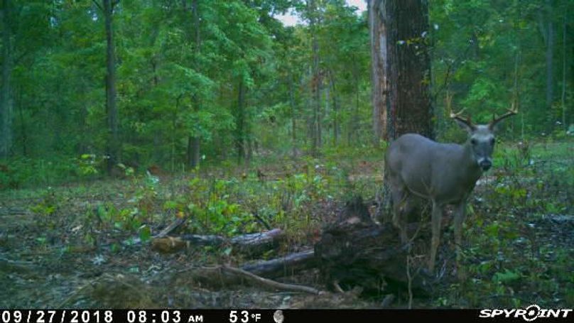 Pict1167 9272018105206amnk10n