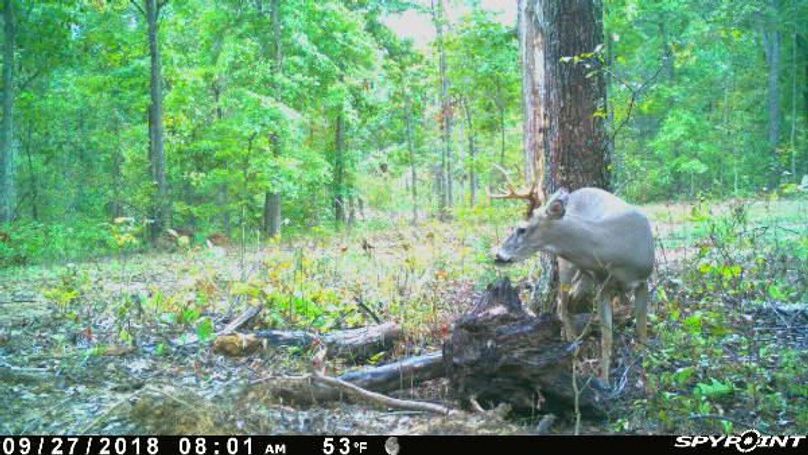 Pict1165 9272018105205amoqhlj