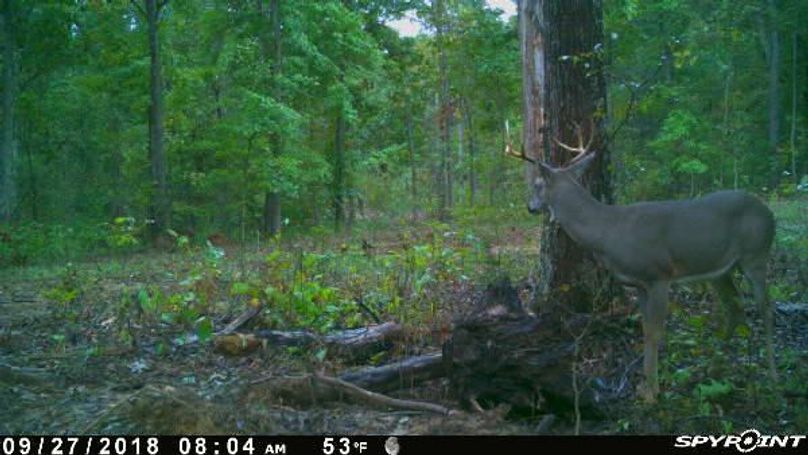 Pict1168 9272018105206amhbumy