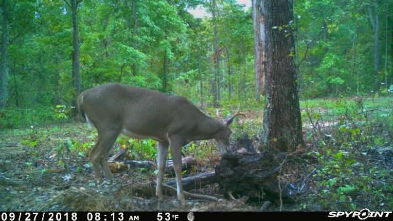 Pict1173 9272018104600amxkvas