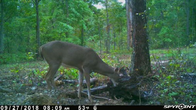 Pict1170 9272018105207amohkfq