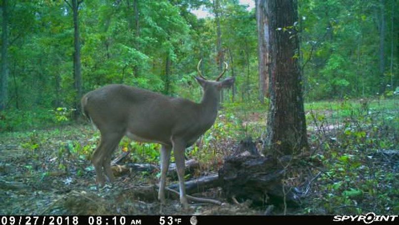 Pict1171 9272018105207amph4wh