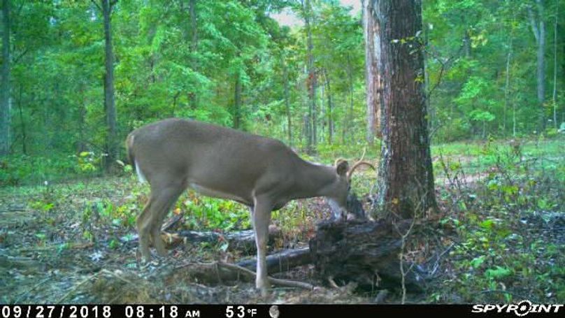 Pict1177 9272018104601amycpxe