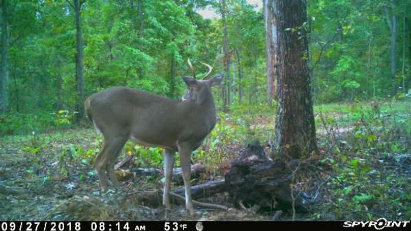 Pict1174 9272018104600ammqano