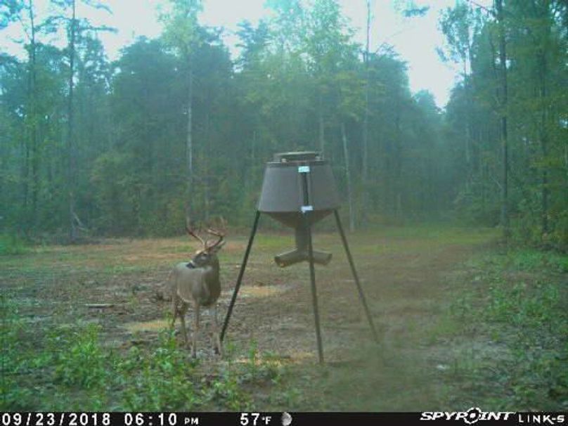 Pict1138 923201880347pmt0okn