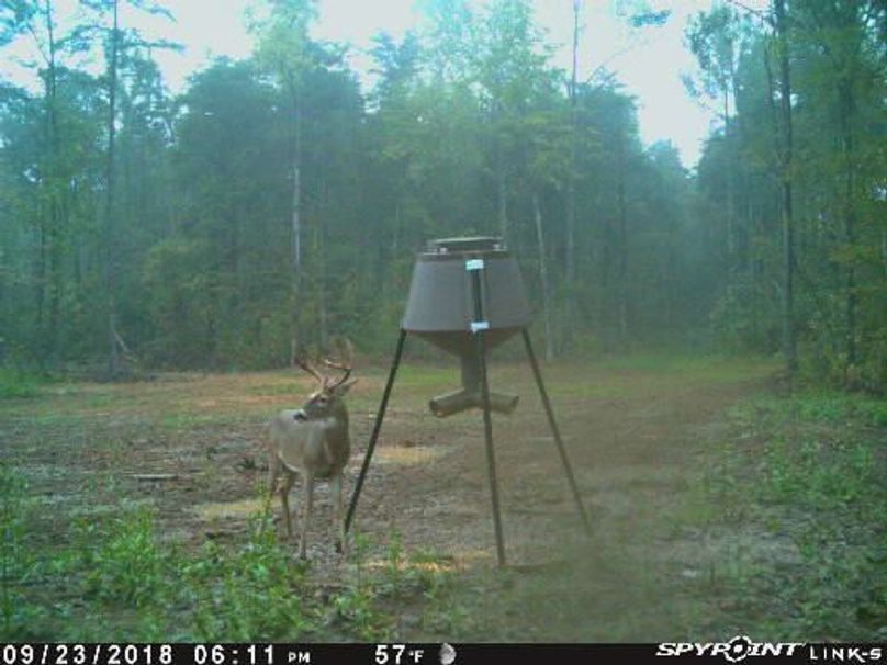 Pict1139 923201880347pmpxh3e