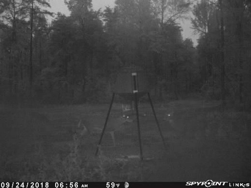 Pict1291 924201880333am6govw