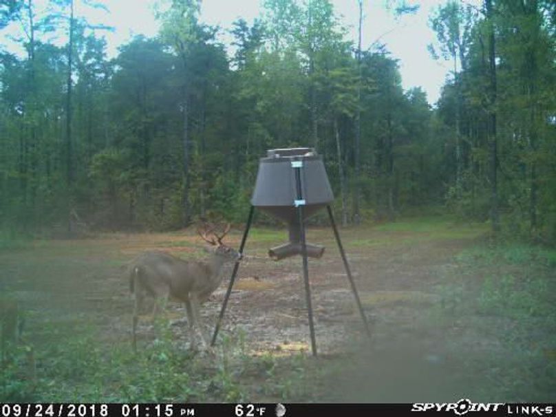 Pict1298 924201840416pmyhn99