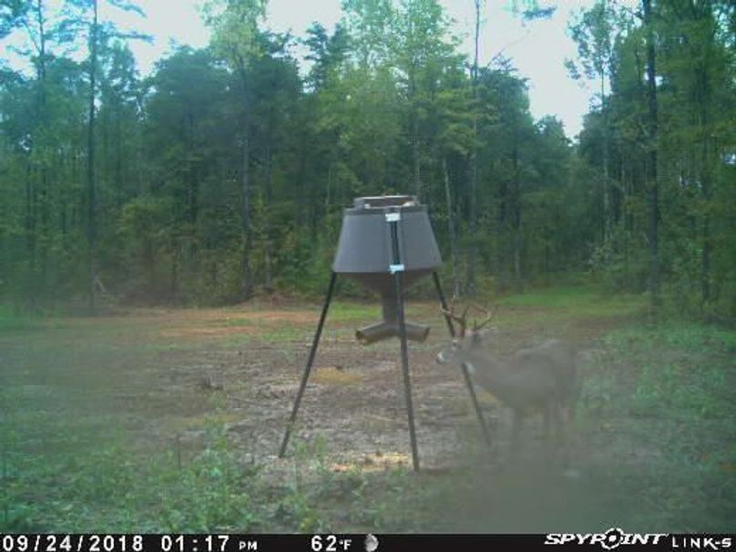 Pict1299 924201840416pmenho9