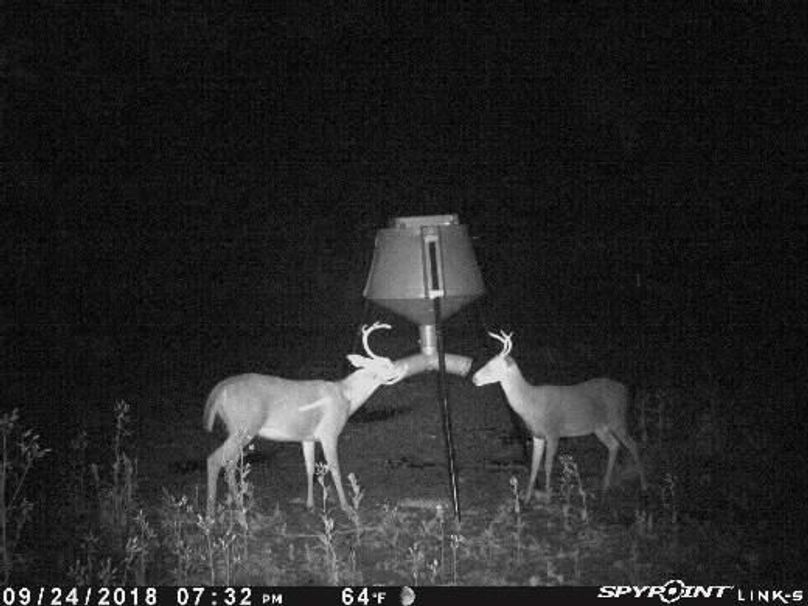 Pict1350 9252018122120ameai2z