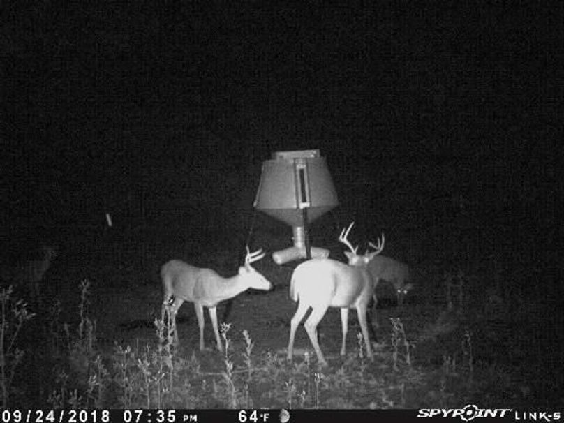 Pict1352 9252018122121amvexrq