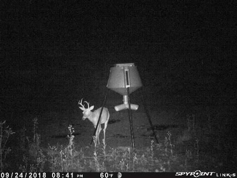 Pict1385 9242018100202pmsqoas