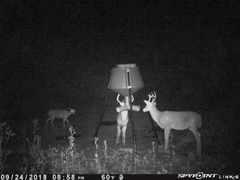 Pict1392 9242018100204pmxkrfl