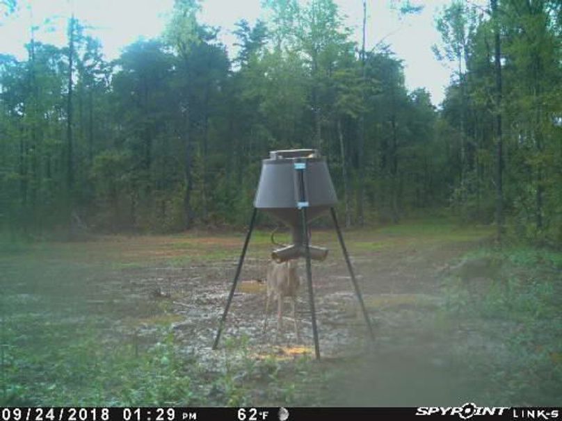 Pict1303 924201840417pmb69kg