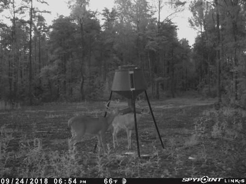 Pict1334 924201880920pmnv1qo