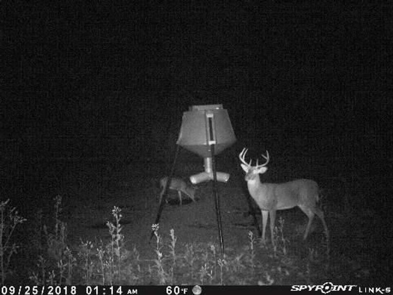 Pict1459 925201840156amiquxp