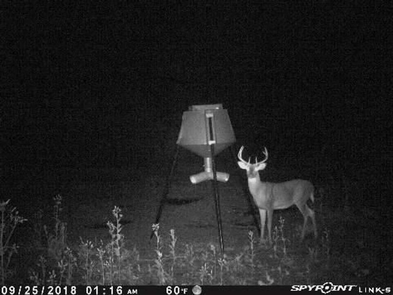 Pict1460 925201840156ameqb0u